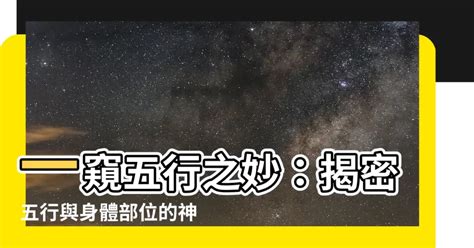 身體五行|【五行身體】五行與身體的奧秘！從頭到腳，由內而外全解析，養。